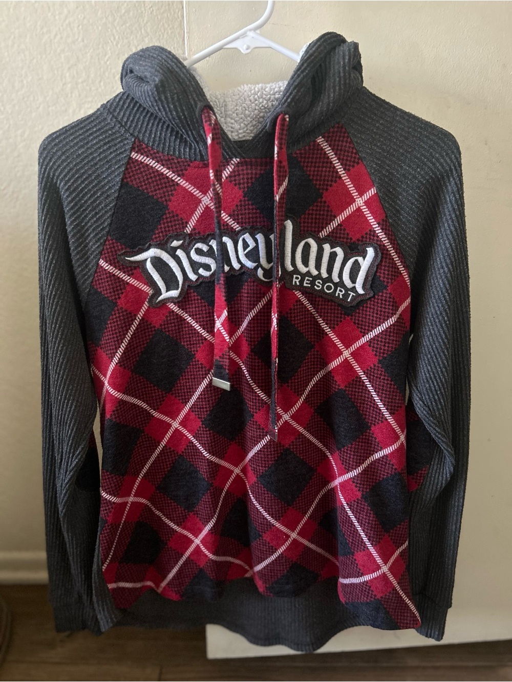 Disneyland Parks Resort Hooded Shirt